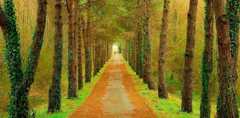 Istanbul's National Parks