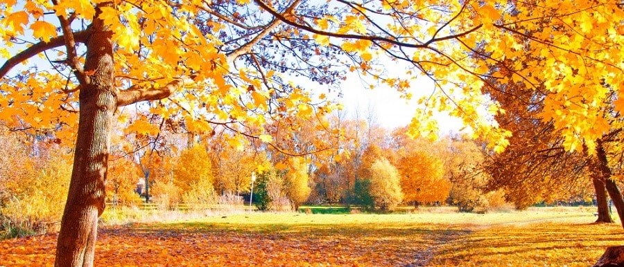 Experiencing Autumn in Istanbul