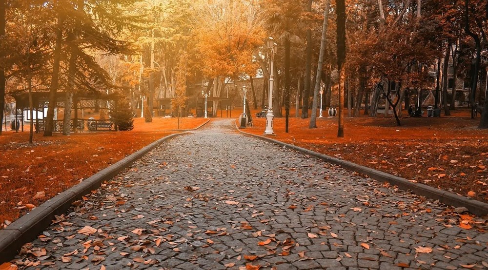 The Abundance of Turkish Autumn